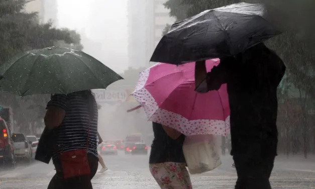 Chuva a perder de vista no Sul do Brasil: muitos dias chuvosos pela frente