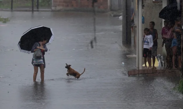 Sudeste e Centro-Oeste devem ter grande aumento da chuva