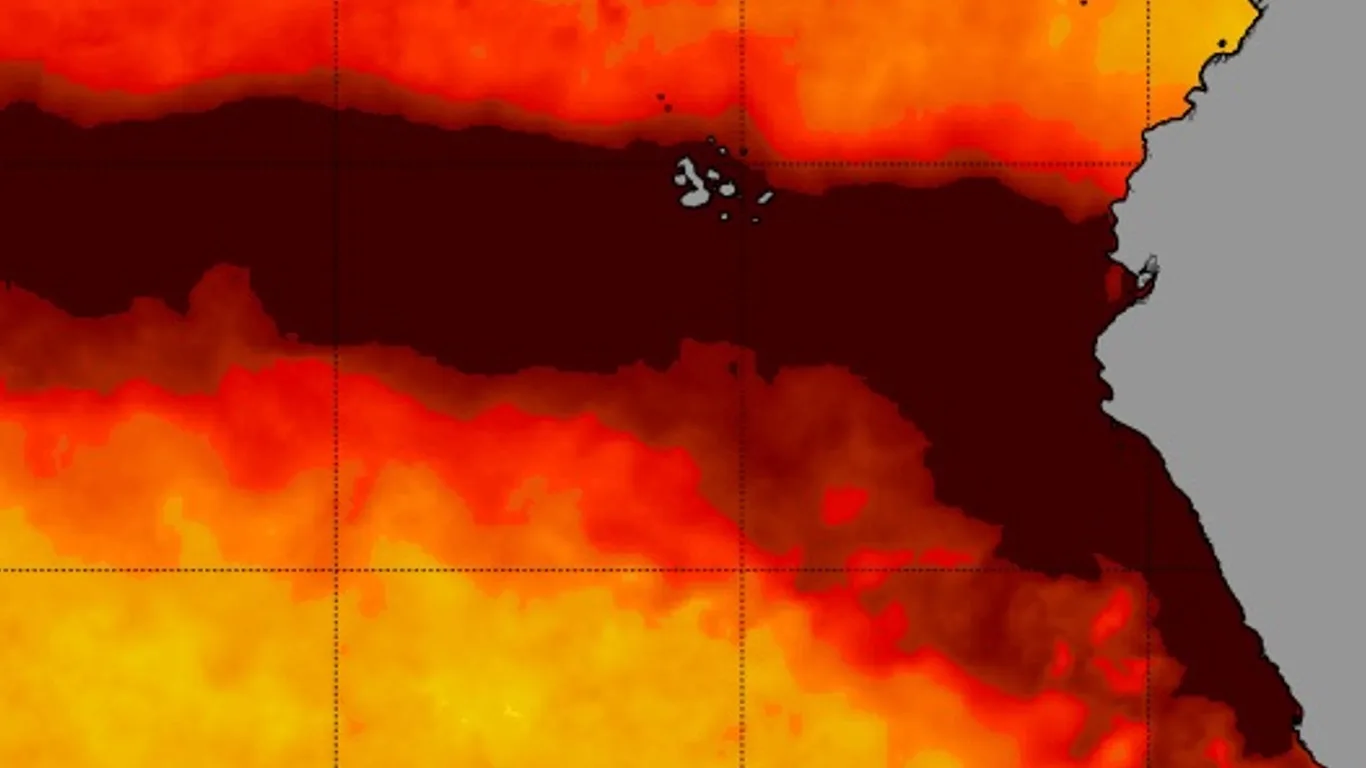 Mapa do El Niño Costeiro
