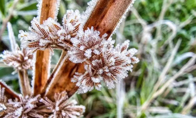 Rio Grande do Sul registra frio abaixo de zero no meio da primavera