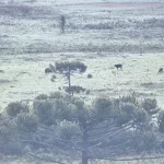 Cidades do Sul têm maior frio em décadas no mês de outubro