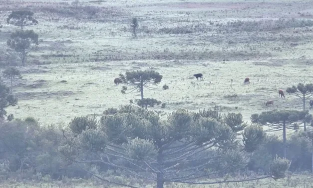Cidades do Sul têm maior frio em décadas no mês de outubro