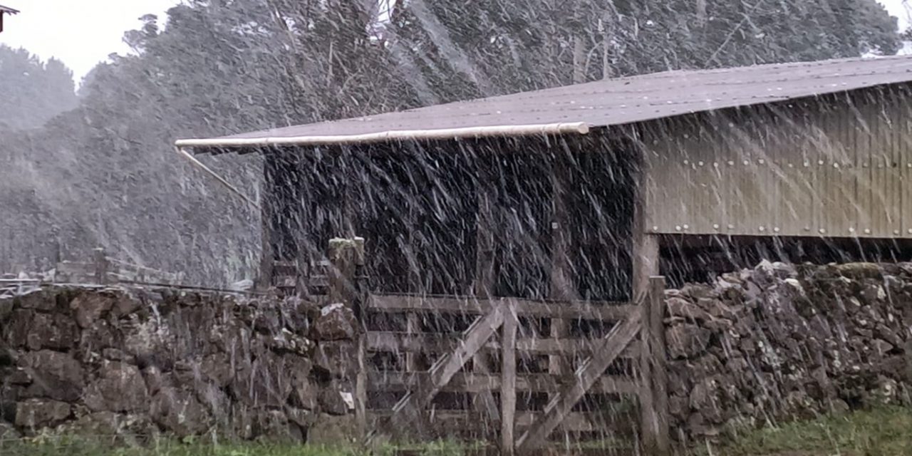 <span class="entry-title-primary">Neve cai pela primeira vez no ano no Sul do Brasil; veja as belas imagens</span> <h2 class="entry-subtitle">Interação da umidade de um ciclone na costa com uma forte massa de ar frio proporciona a primeira ocorrência de neve do ano </h2>