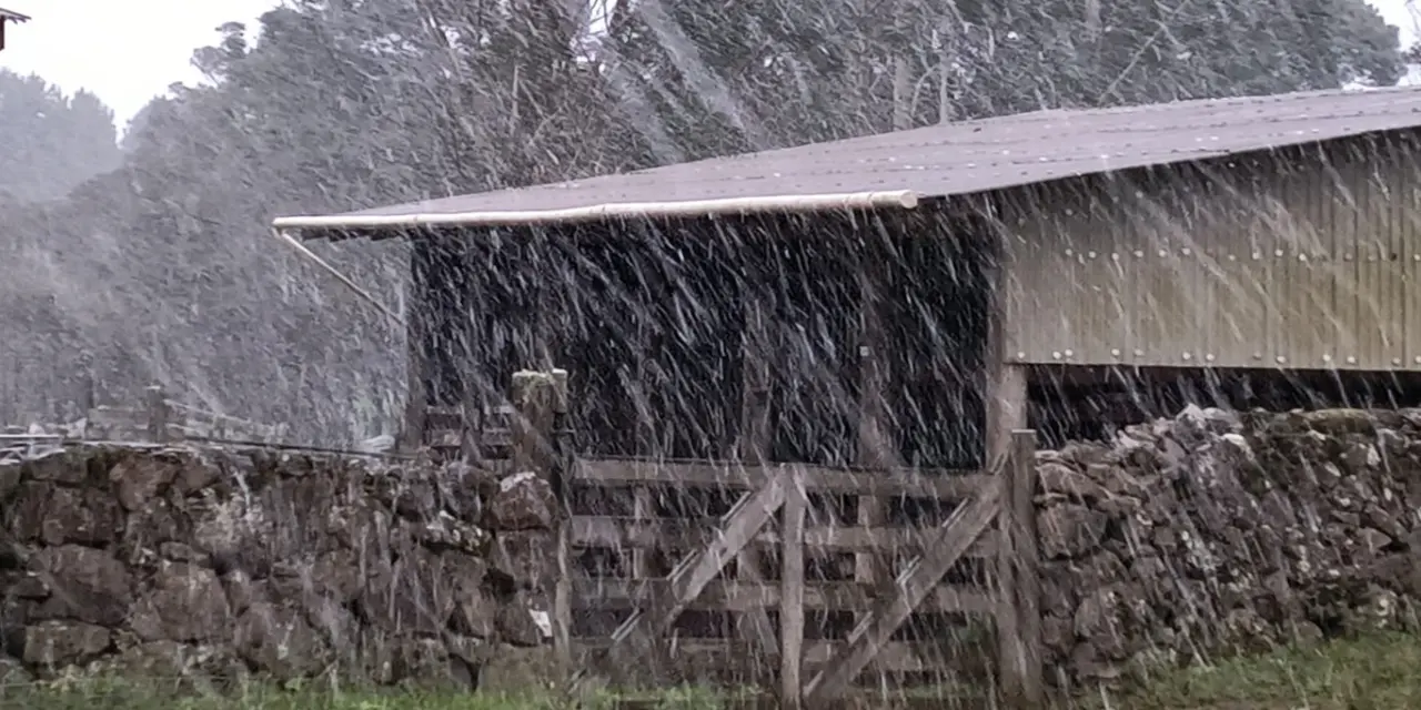 <span class="entry-title-primary">Neve cai pela primeira vez no ano no Sul do Brasil; veja as belas imagens</span> <h2 class="entry-subtitle">Interação da umidade de um ciclone na costa com uma forte massa de ar frio proporciona a primeira ocorrência de neve do ano </h2>