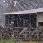 Neve cai pela primeira vez no ano no Sul do Brasil; veja as belas imagens